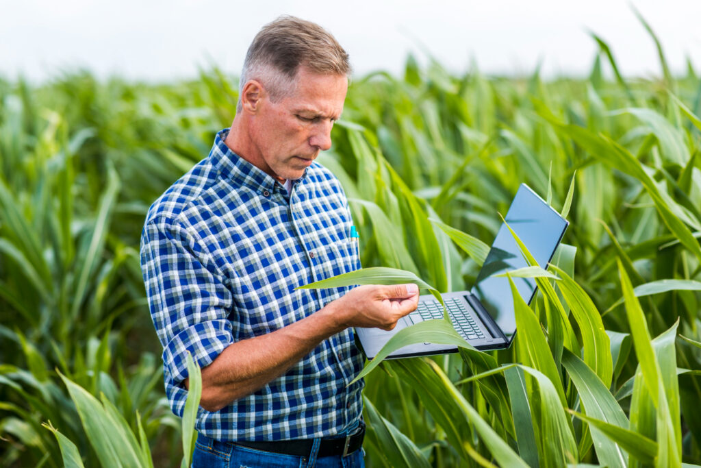 Contabilidade consultiva para empresas do agronegócio: vale a pena?